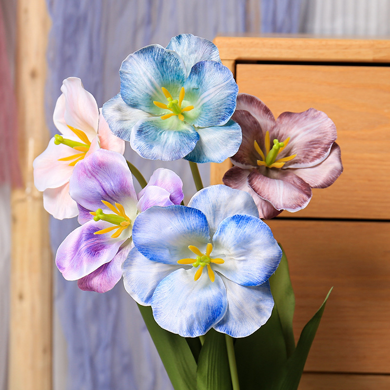 Photography Wedding - 5pc 54cm Flip tulipe dégradé multicolore