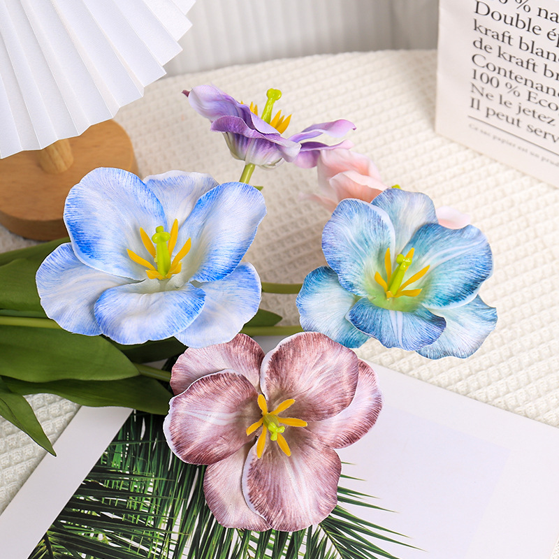 5pc 54cm Flip tulipe dégradé m - Photography Wedding avis et prix