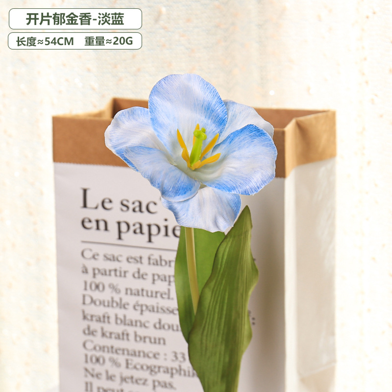5pc 54cm Flip tulipe dégradé m - Photography Wedding avis et prix